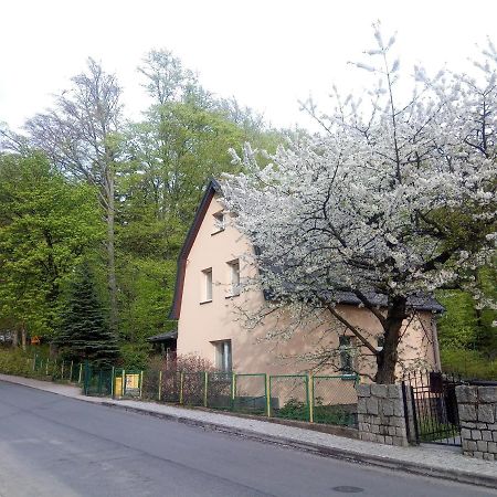 Willa Rozalia Szklarska Poręba Kültér fotó